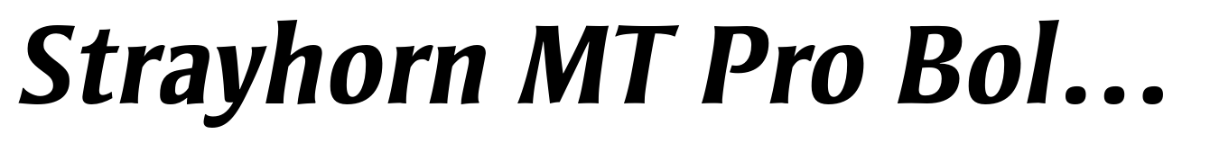 Strayhorn MT Pro Bold Italic